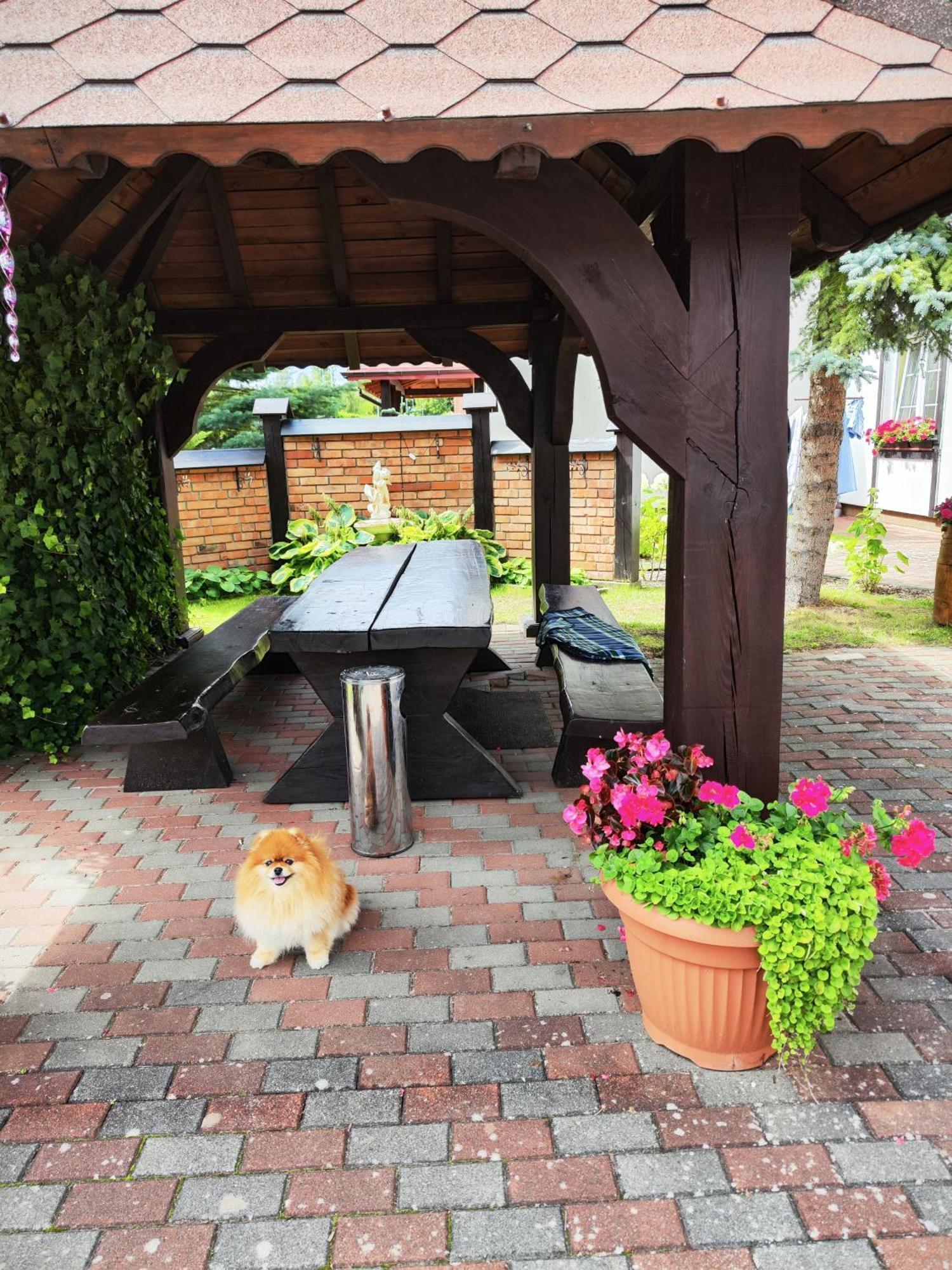 로비 Michalek W Rowach B&B 외부 사진