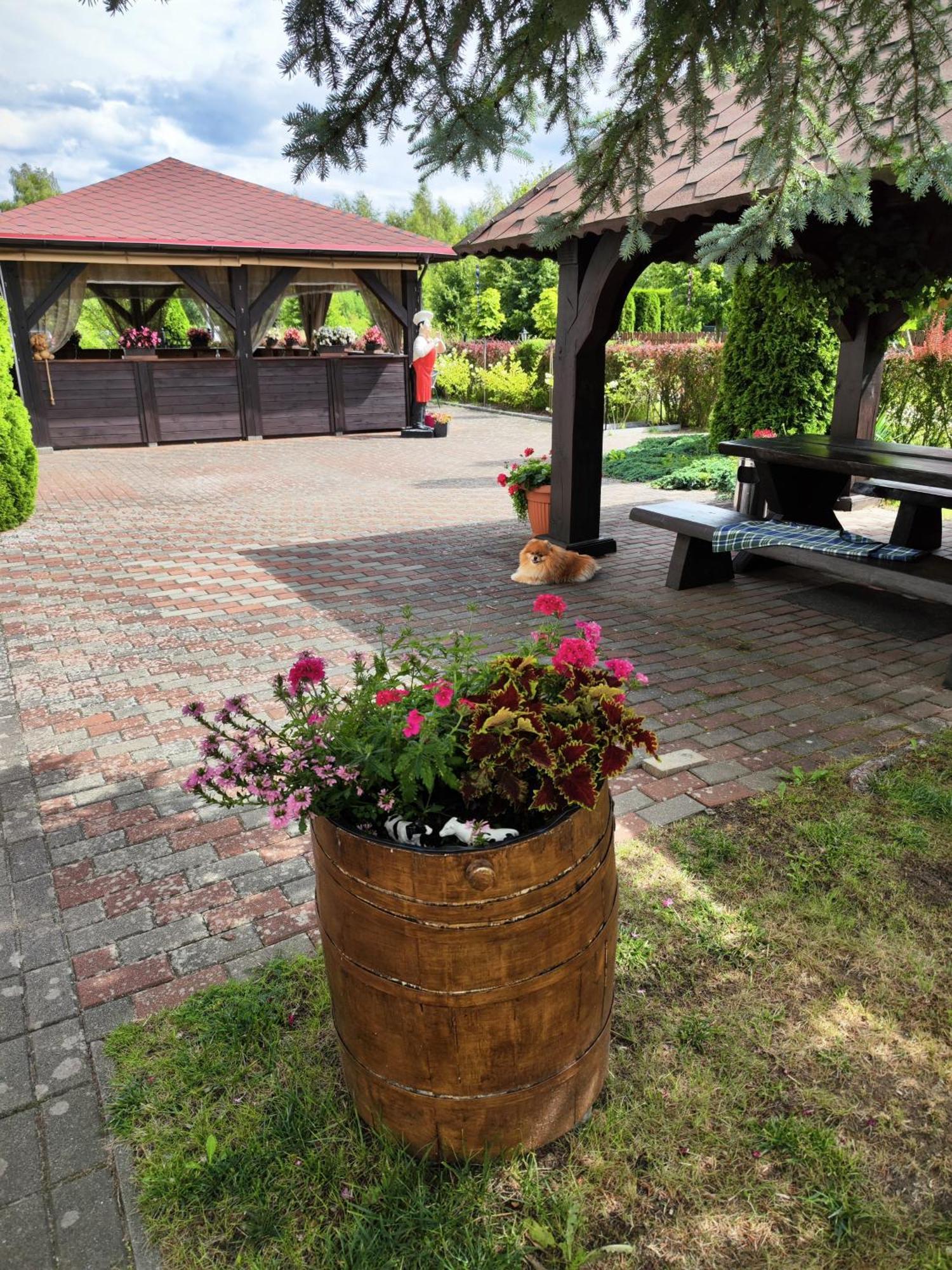 로비 Michalek W Rowach B&B 외부 사진