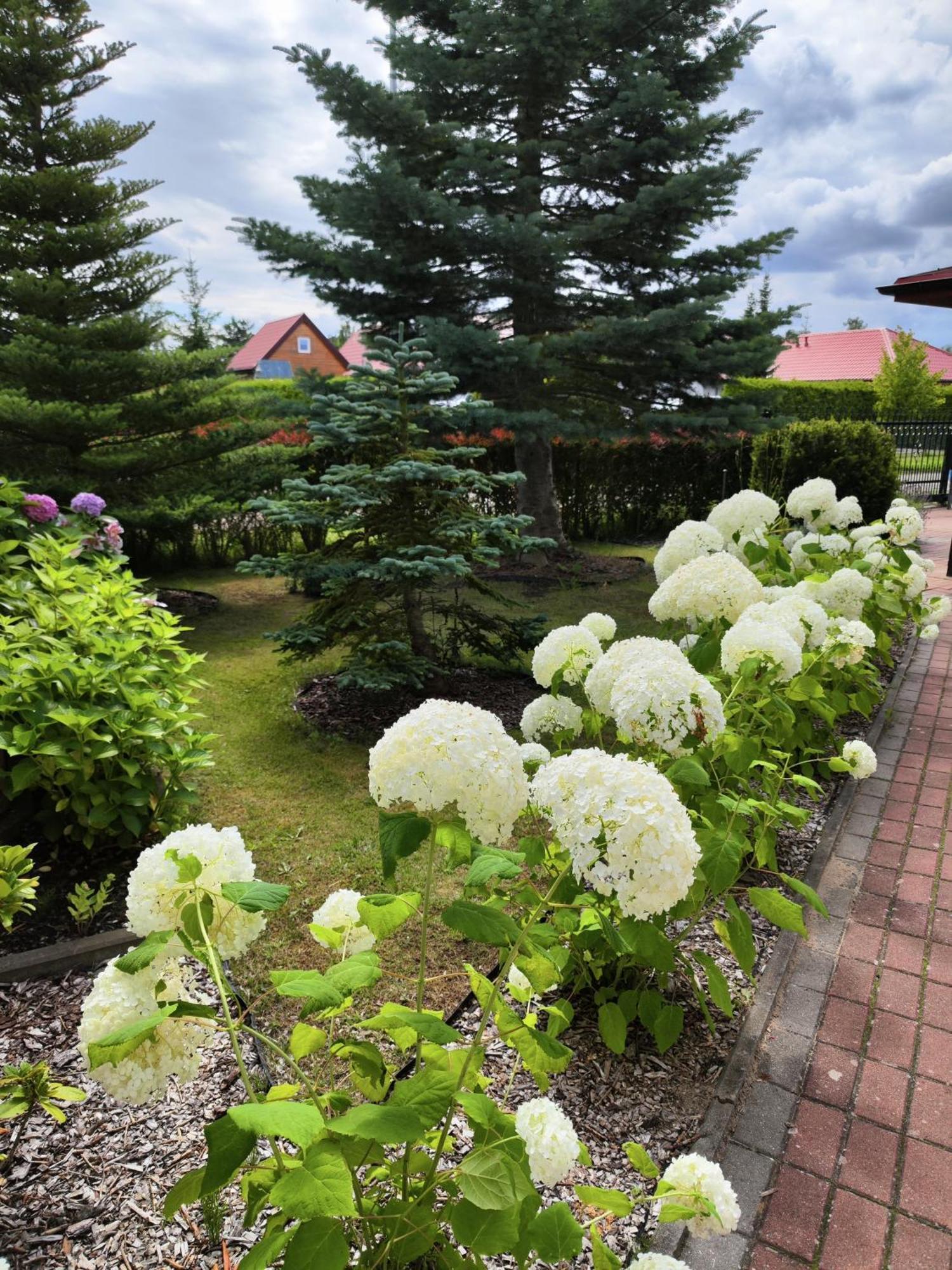 로비 Michalek W Rowach B&B 외부 사진